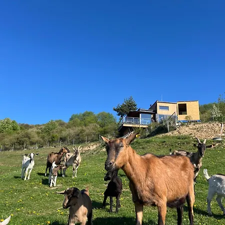 Dorotka Na Sosne Domek alpejski *
