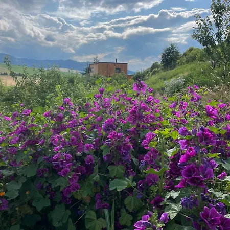 Dorotka Na Sosne Alpehytte Nova Lubovna